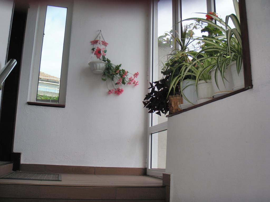 House Prodanovi โซโซโปล ภายนอก รูปภาพ