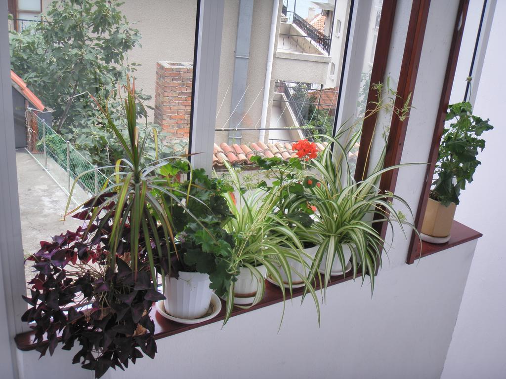 House Prodanovi โซโซโปล ภายนอก รูปภาพ