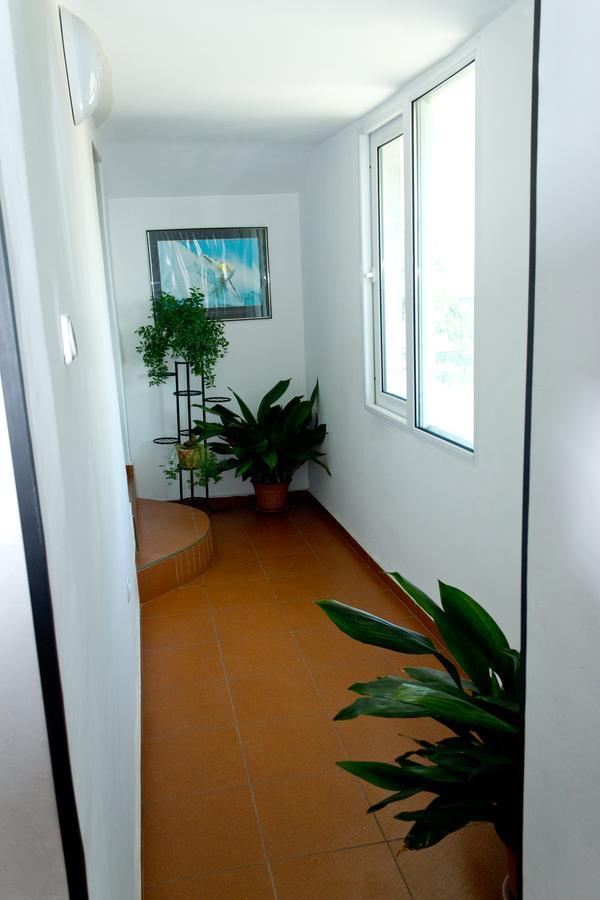 House Prodanovi โซโซโปล ภายนอก รูปภาพ